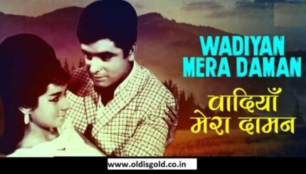 Wadiyaan Mera Daman
