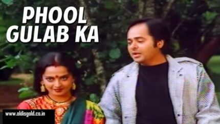 Phool Gulab Ka